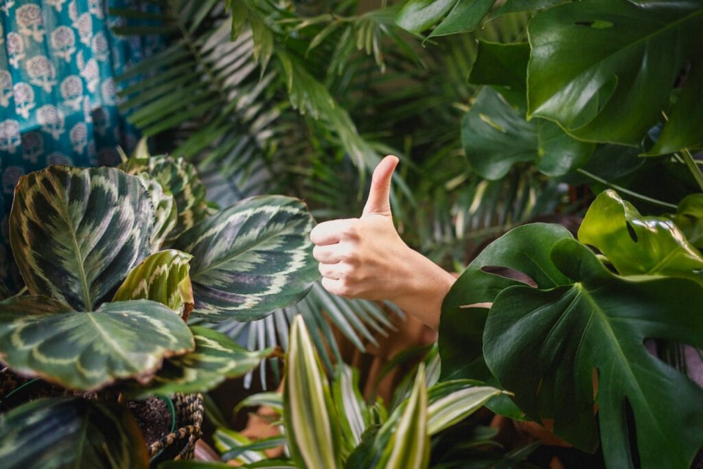Navigating My Feelings In The Middle Of A Job Change
